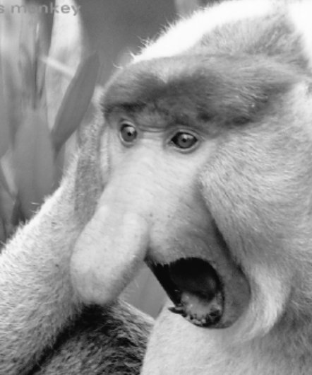 daddy_monke's tweet photo. @CaribBros When deva start to spam meteors: https://t.co/CRIJeePg8b