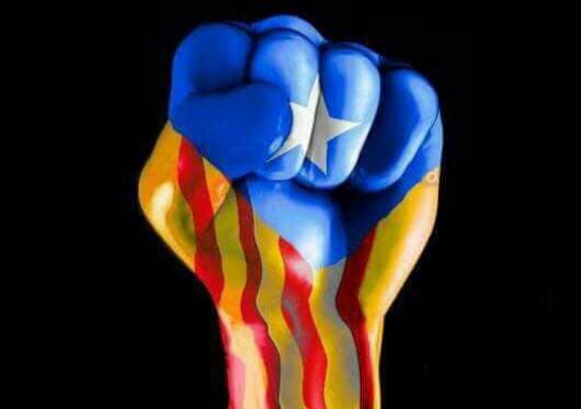 LuisBenet3's tweet photo. @laxarxaxanante1 @unaltredelleida @areboris @joseps Recordeu, la repressio ens fa mes forts!!
#SpanishAFascistState
#forafeixistes
#viscacatalunyalliure https://t.co/YbvNaSyrK0