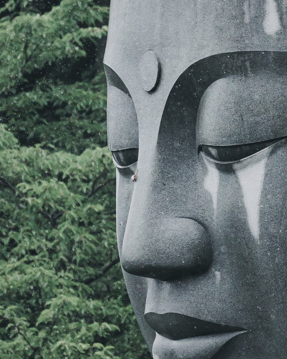 大仏さん、自分の鼻先見てると思ったらカタツムリが登ってた🐌