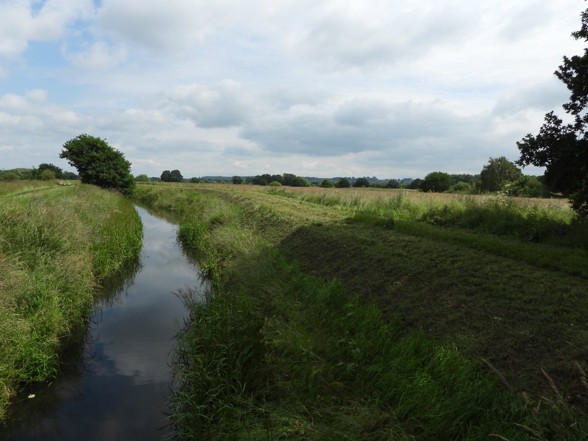 andysims4049's tweet image. Once again @EUEnvironment cutting the banks of the Catchwater drain in the middle of the breeding season. Reed Bunting &amp;amp; Whitethroat nests destroyed! #whatisthepoint @Lincsbirding @lincsbirders @BTO_Lincs @LincsWildlife @LincsNaturalist