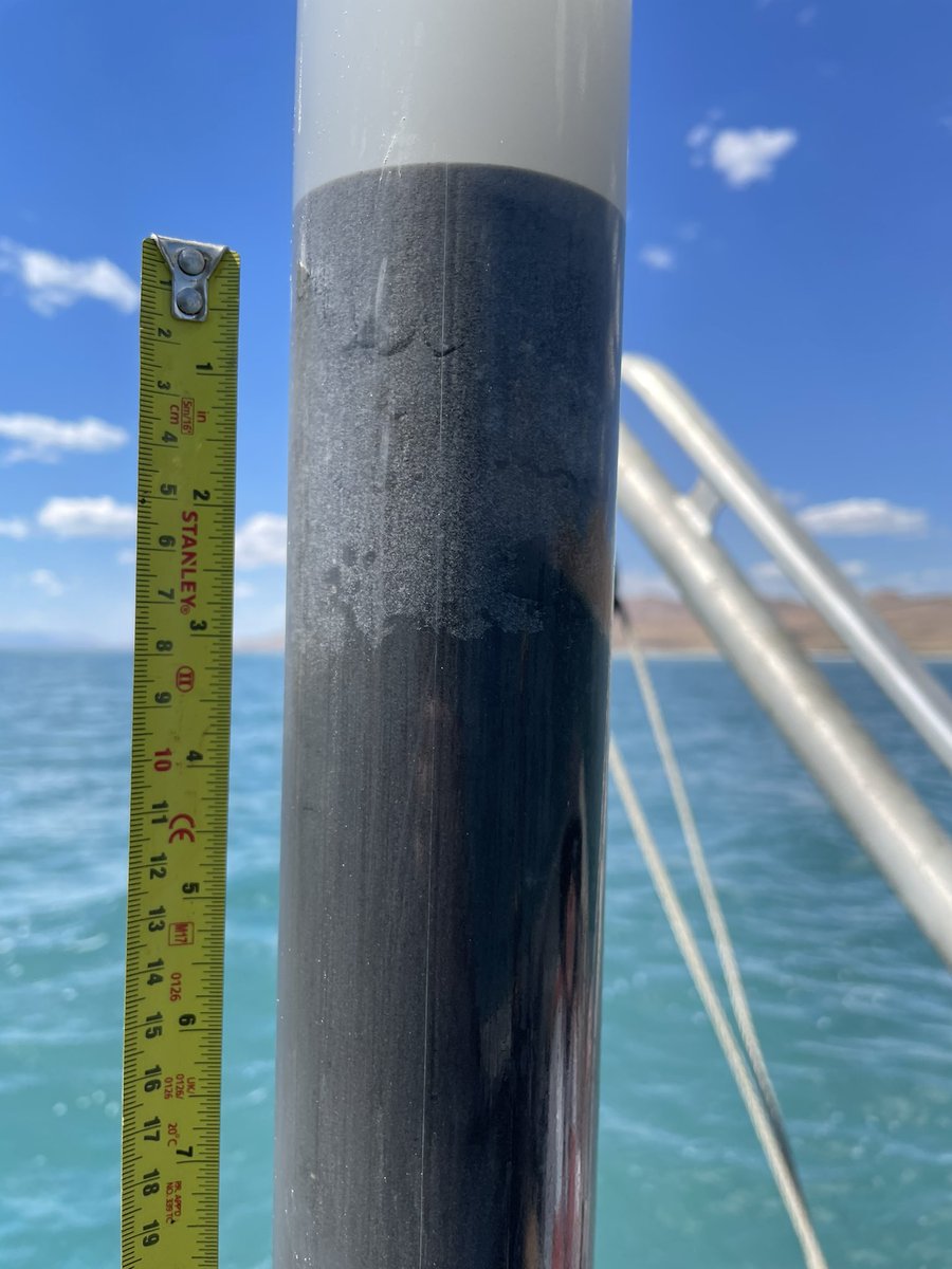 Chris DuRoss tweet media