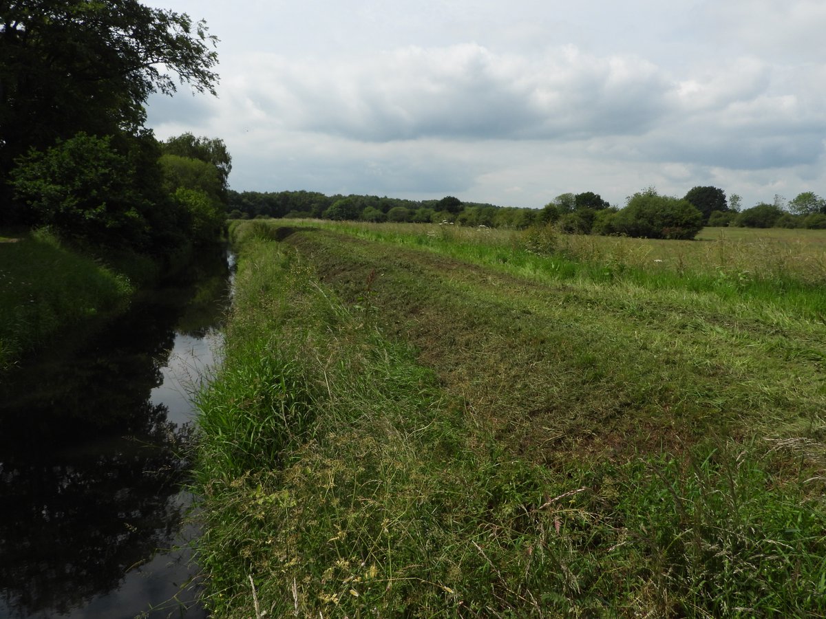 andysims4049's tweet image. Once again @EUEnvironment cutting the banks of the Catchwater drain in the middle of the breeding season. Reed Bunting &amp;amp; Whitethroat nests destroyed! #whatisthepoint @Lincsbirding @lincsbirders @BTO_Lincs @LincsWildlife @LincsNaturalist