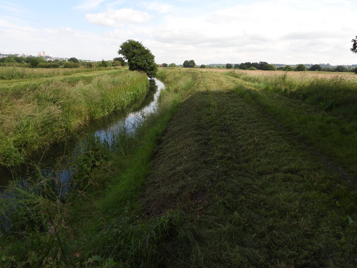 andysims4049's tweet image. Once again @EUEnvironment cutting the banks of the Catchwater drain in the middle of the breeding season. Reed Bunting &amp;amp; Whitethroat nests destroyed! #whatisthepoint @Lincsbirding @lincsbirders @BTO_Lincs @LincsWildlife @LincsNaturalist