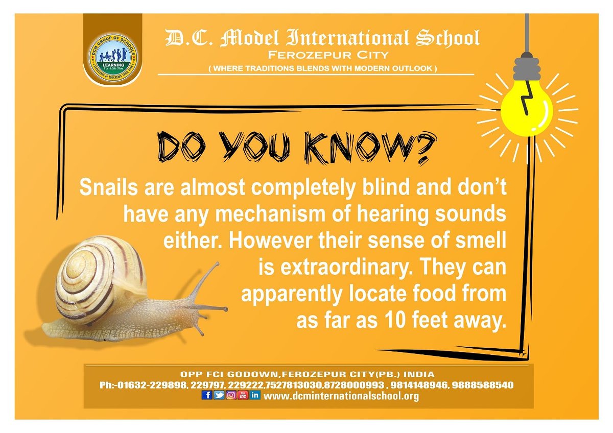dcmi_school's tweet photo. #Did You Know
#Amazing Fact Of The Day
#Curiosity_ is a #_key ingredient of learning. It leads to knowledge but also to the ability to make connections among various pieces of information.
#DCMI
#Science_is_a_Fact https://t.co/QgFNPQqxCu