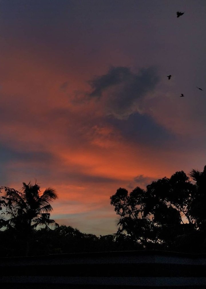 anukrishna_anu's tweet photo. Every sunset has a different vibe. 

#mobilephotography 
#tuesdayvibe https://t.co/74LwY5kU7r