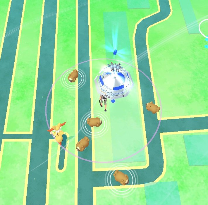 furonyx's tweet photo. Why are so many Bidoof there? #PokemonGo https://t.co/h4e3E8hXZo