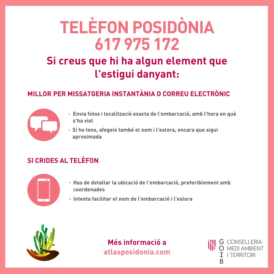 Col·laboram reforçant la vigilància contractada de la @cmat_ib per evitar el fondeig sobre posidònia. Estenem dues actes de denúncia a Portals Vells

Recorda que, des d'enguany, hi ha el telèfon posidònia actiu per dubtes en fondejos i comunicació de possibles danys a praderies