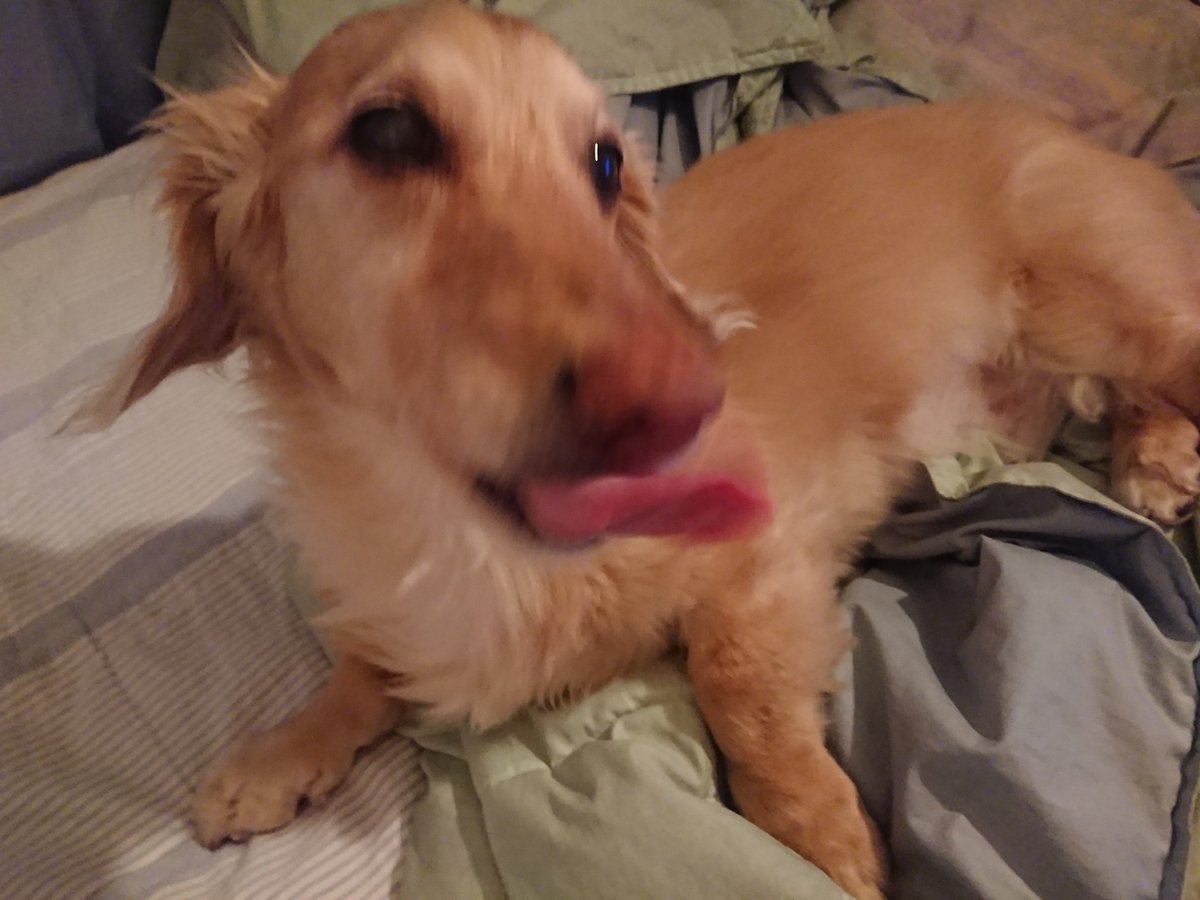 みんなの ダックス カレー 口コミ 評判 食べたいランチ 夜ごはんがきっと見つかる ナウティスイーツ