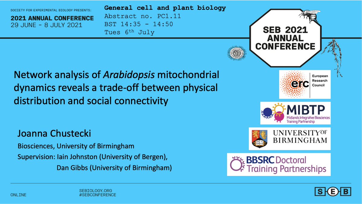 Hey #SEBconference 👋
Interested in mitochondria? Why they move? Just how social they might be? 
Come and listen our social network story, next Tuesday at 14:35 BST 🌱 #plantsci