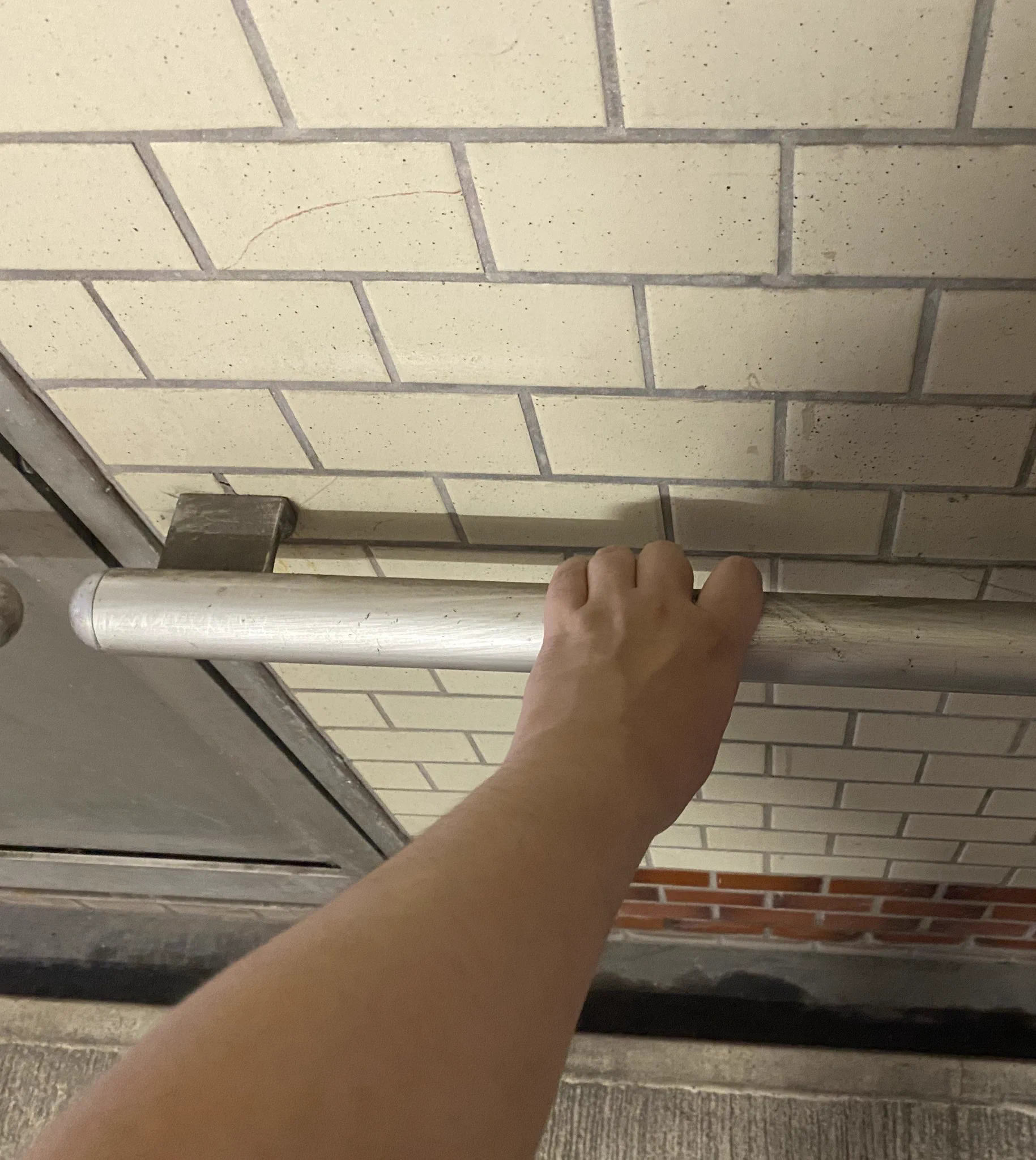 全く使われていなさそうな手すりがあったので？そっと握ってあげたwww