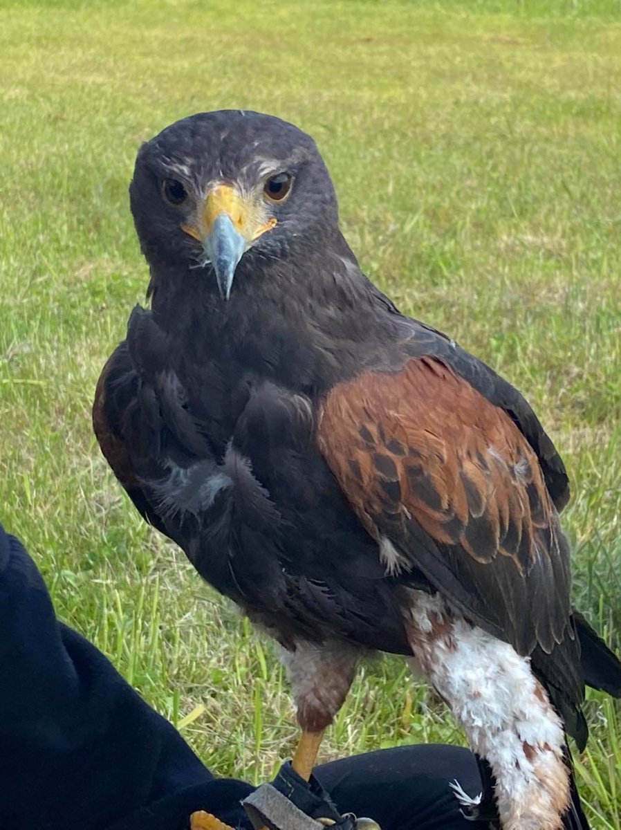 mytime_wigan tweet media