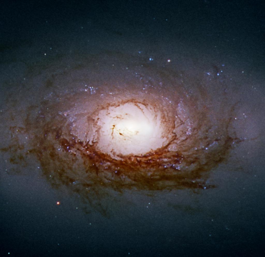 Time for an astronomy lesson! ✏️

A “galactic bulge” is a dense region of stars at the heart of a spiral galaxy. They often host supermassive black holes!

This Hubble image shows the galaxy Caldwell 40's bright center, which is its galactic bulge: go.nasa.gov/3jpNYjH