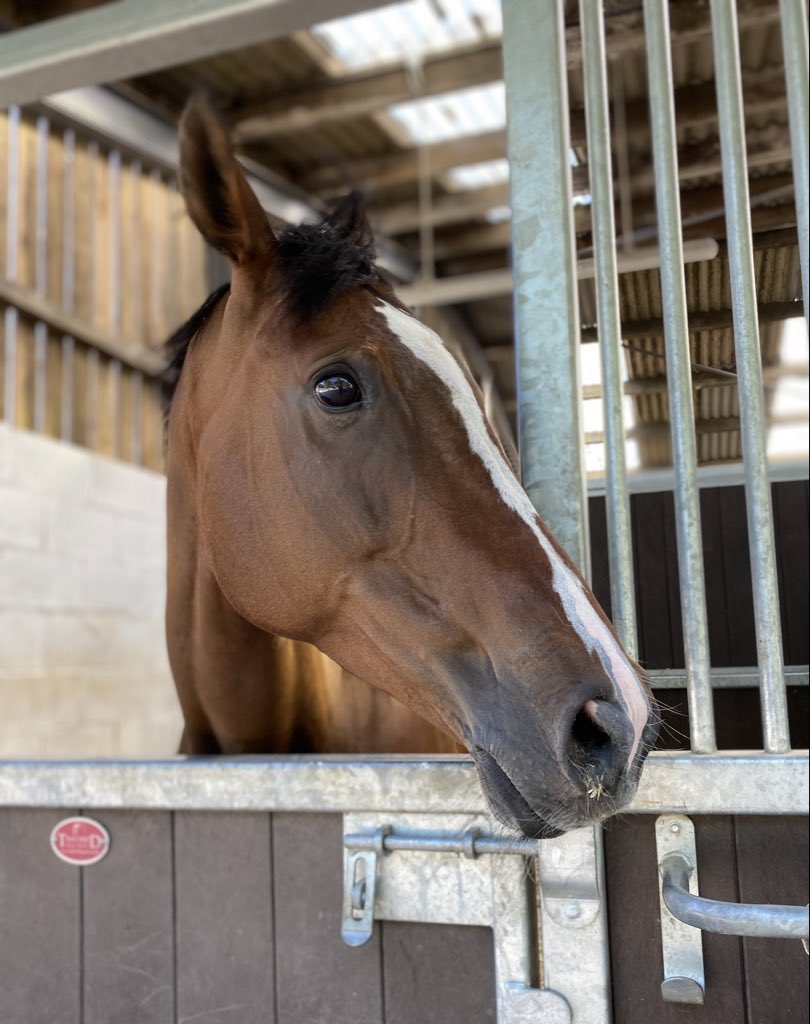 Fergal O'Brien Racing tweet media