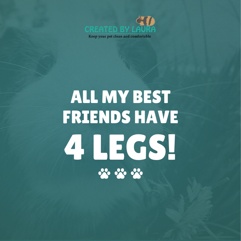 Who is your best friend?

👉 Tag a friend who would agree! 😍