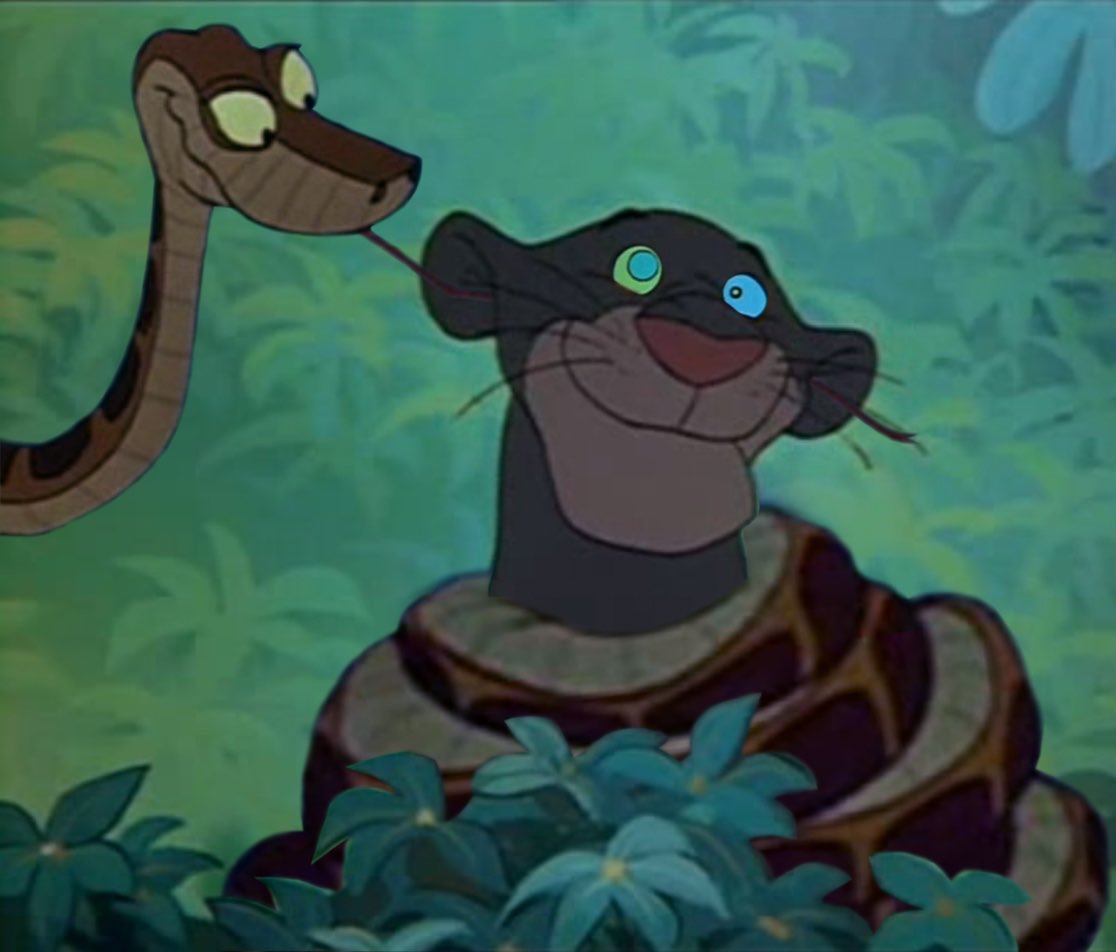 Kaa And Bagheera