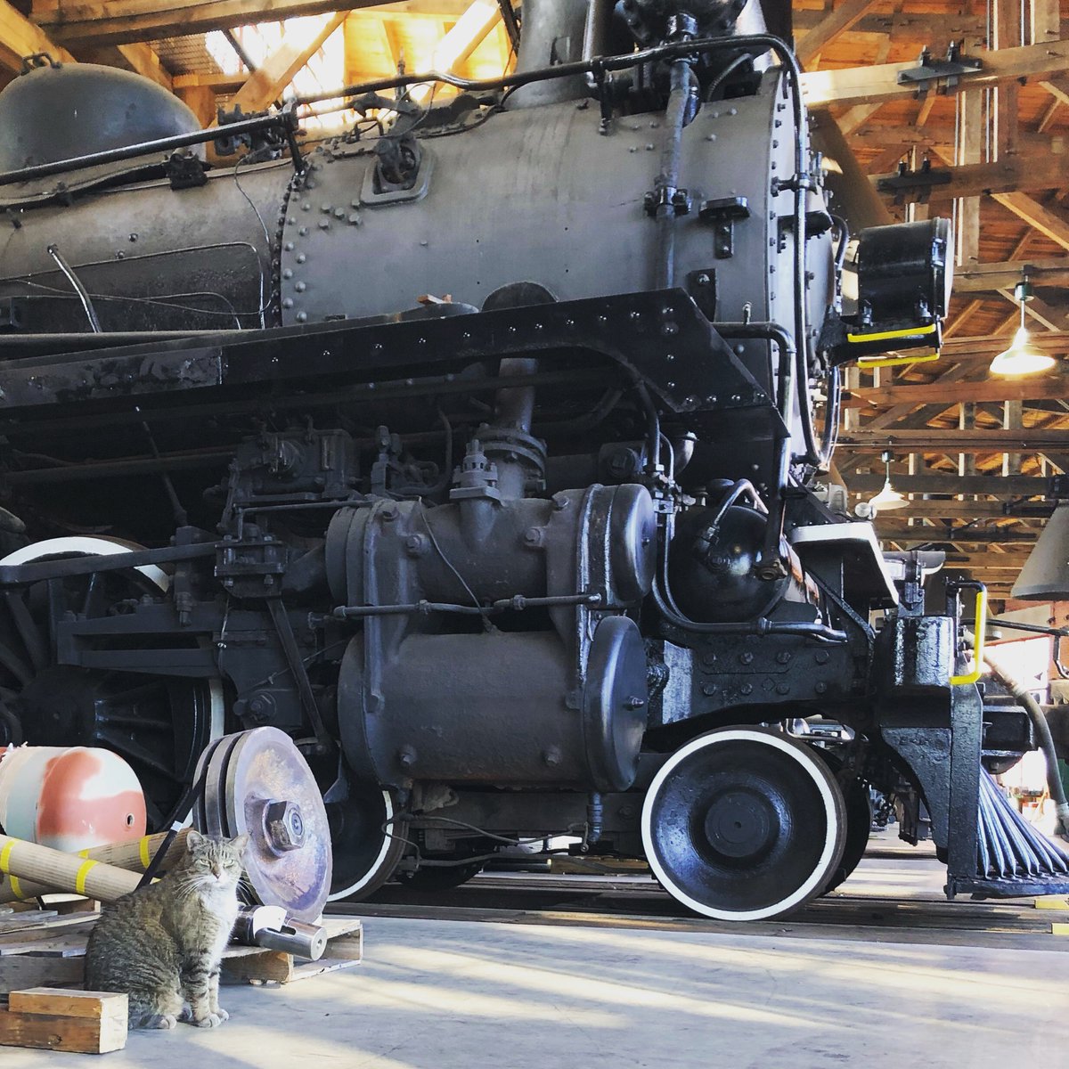 You want near this locomotive, you’ll have to go through me first! #ageofsteamroundhouse #steam #train #trains #locomotive #steamlocomotive #steampunk #railroad #railroadhistory #cats #catsofinstagram #ohiofindithere #CatsOfTwitter
