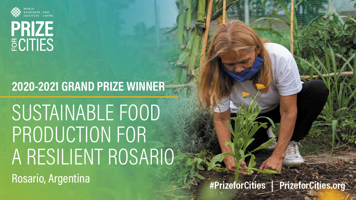 Congratulations to the grand prize winner of the 2020-21 #PrizeforCities: Sustainable Food Production for a Resilient #Rosario! 🎉🎊

@MuniRosario’s urban agriculture program has increased #FoodSecurity for residents & climate #resilience in tandem wri.org/news/release-p…