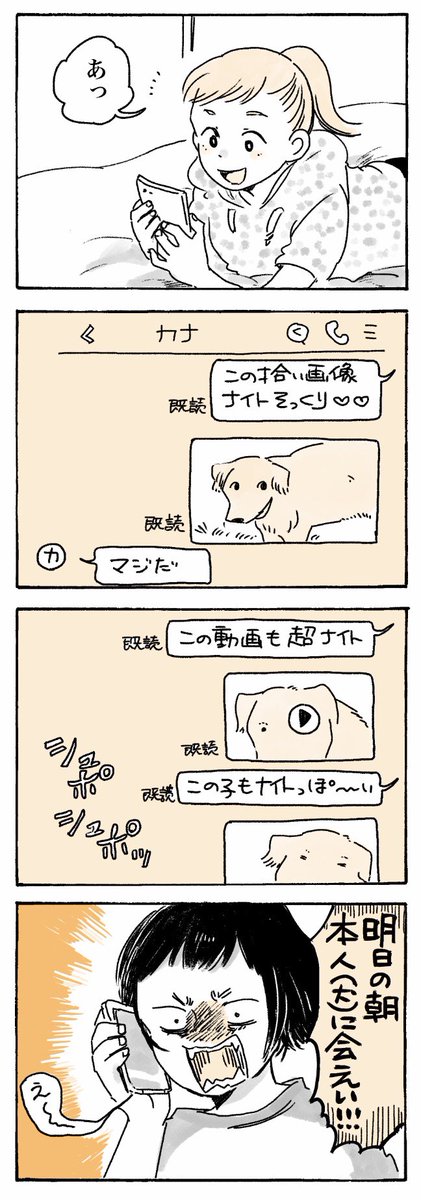 女子高生の夜は長い🌙

#姫ばあちゃんとナイト
(単行本発売中!✨ ) 