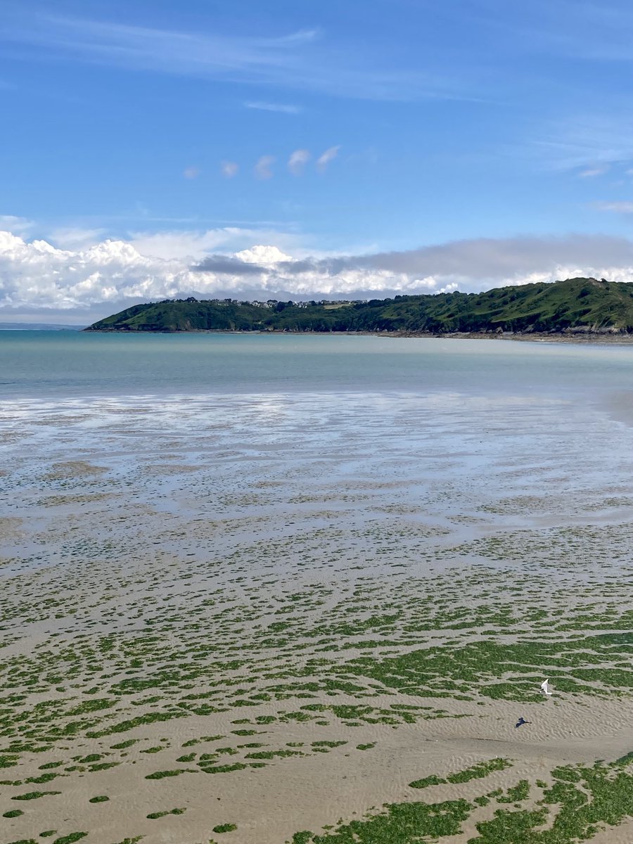 On a voir la #mer ? #binic #cotedarmor