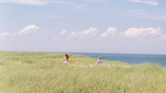 tamjaichunbkk's tweet image. blue &amp;amp; green