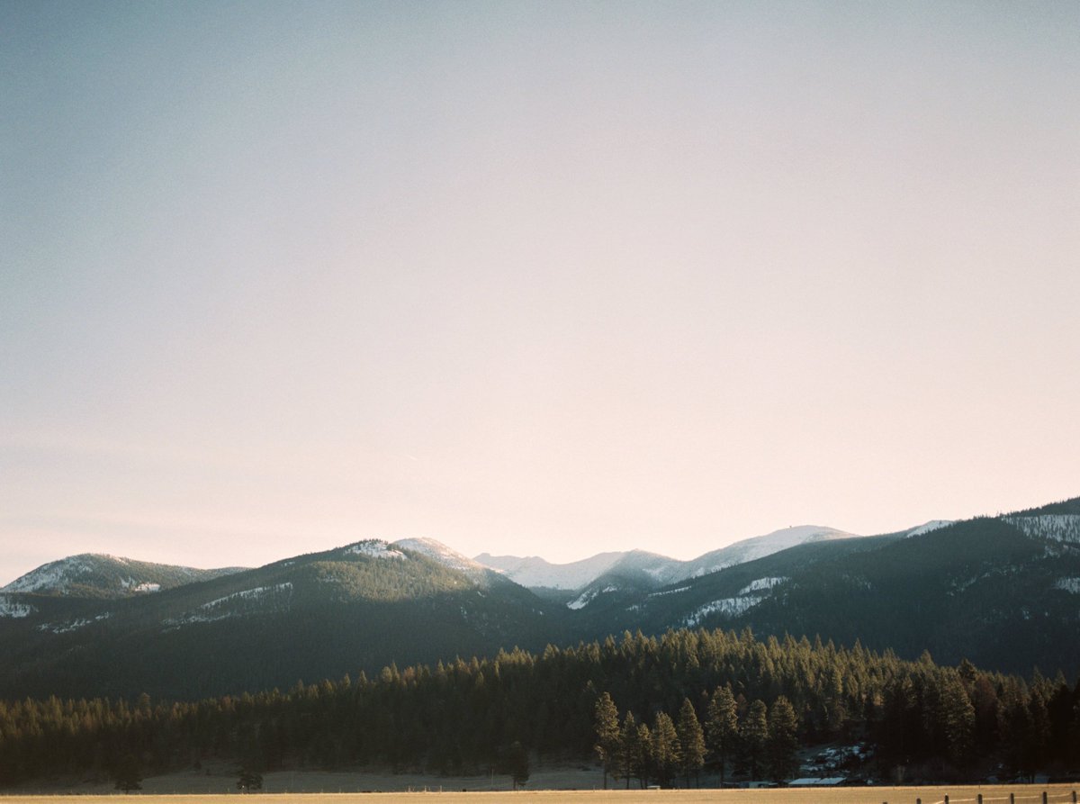 tamjaichunbkk's tweet image. blue &amp;amp; green