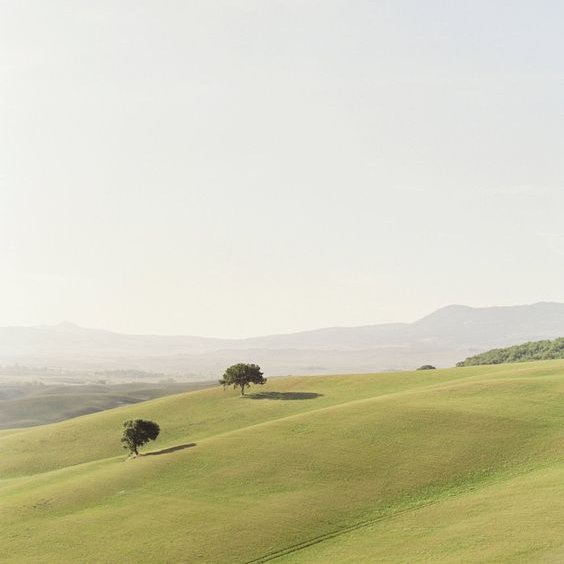 tamjaichunbkk's tweet image. blue &amp;amp; green