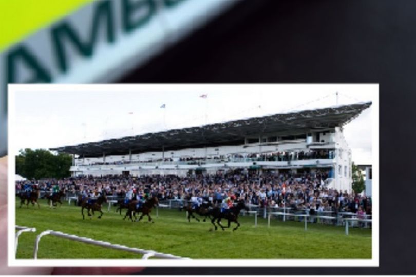 Robert Mitchell tweet media