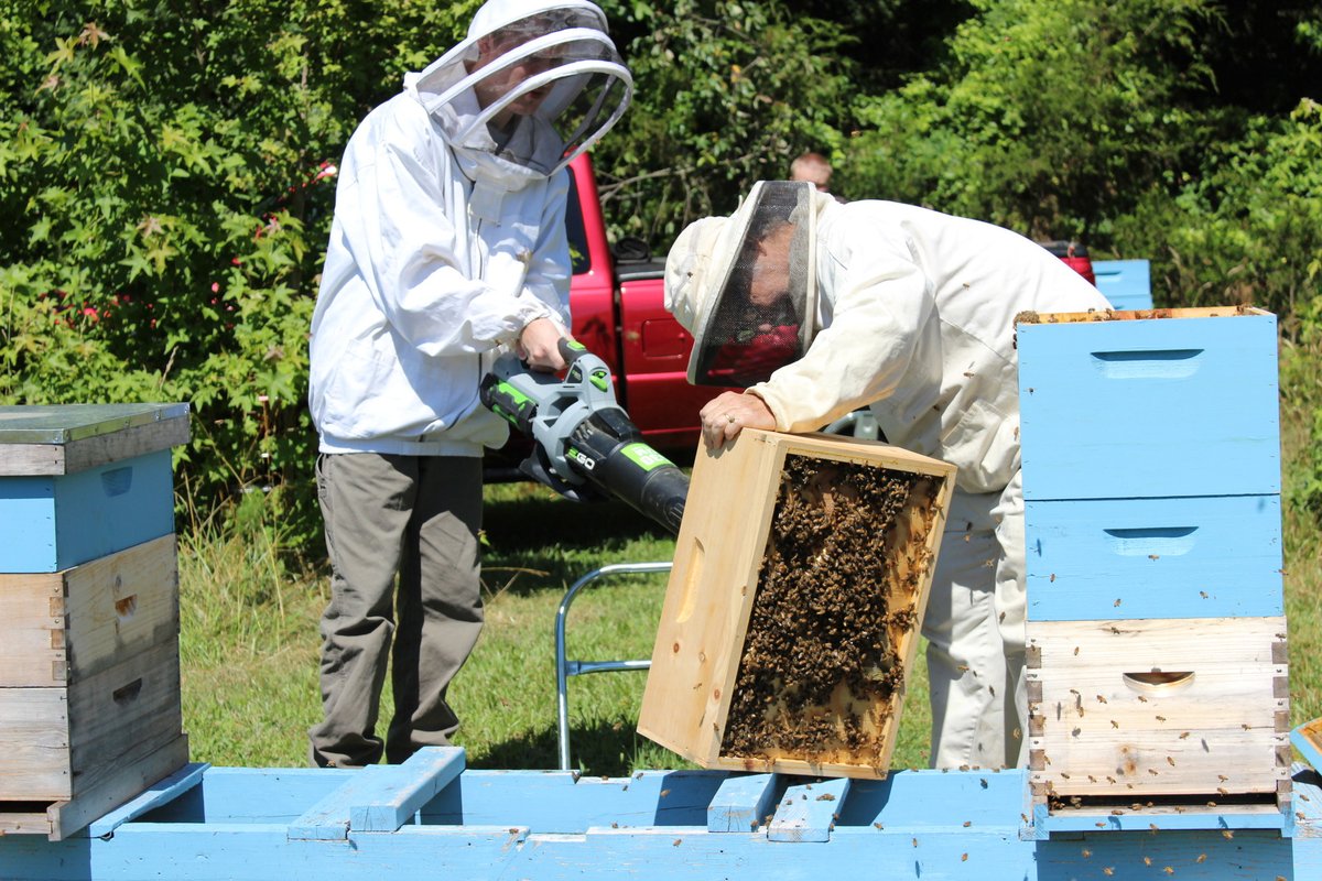 JoshsHopeInfo's tweet photo. Our amazing participants and volunteers extracted 36 lbs (!!!!) We will be bottling the honey and preparing it for sale over the next week, so stay tuned! #JHF #JoshsHope #nonprofit #mentalhealth #bees #beekeeping #honey #honeyharvesting https://t.co/uqxaGi5cSn
