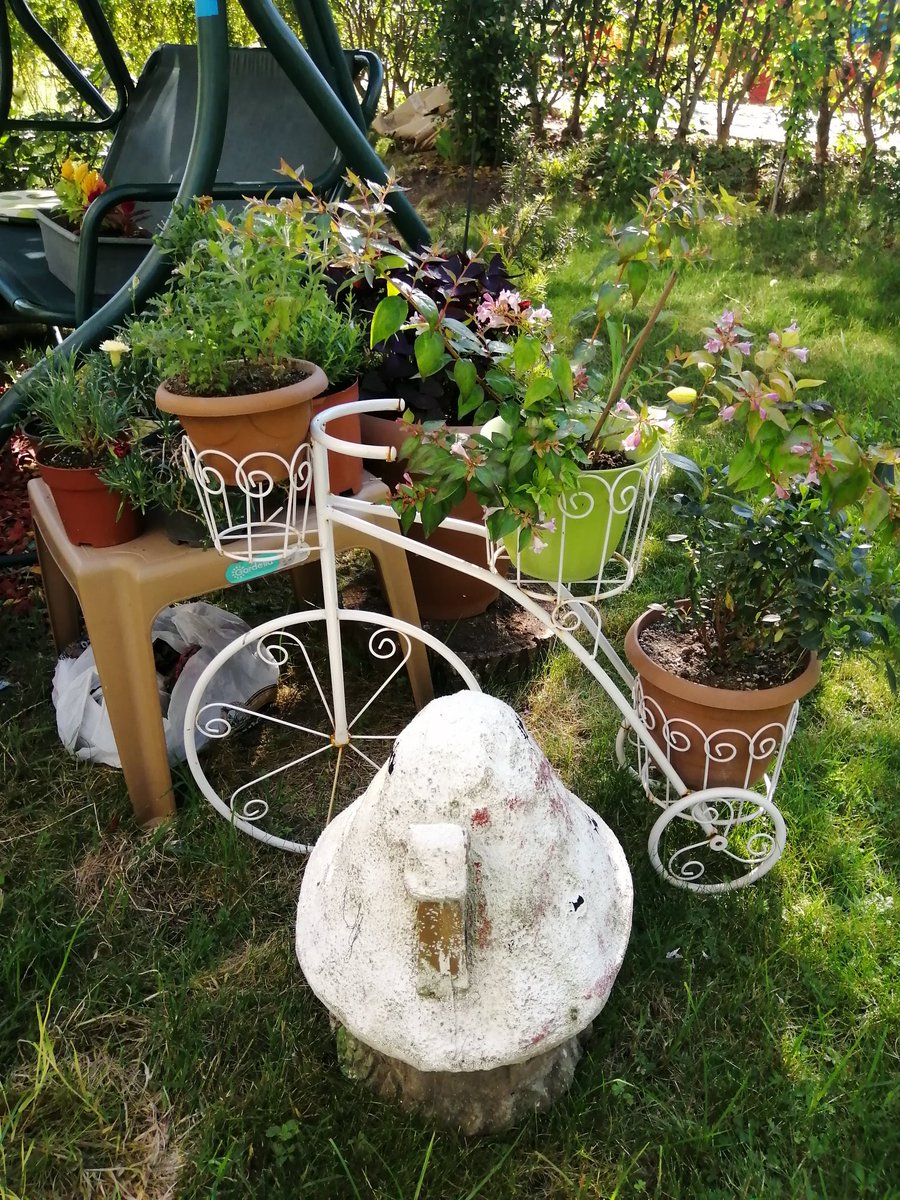mbtemizkan's tweet photo. Annem simetri konusunda bayağı takıntılı olduğundan bana çiçeklerinin yerini hergün değiştirttiğinden ona #simetrik diye hitap edince hem surat yapıyor ama çok da hoşuna gidiyor💖💖 Yüce Allah hiçbirini başımızdan eksik etmesin 🙏🧿🙏 #AnneHayattır #DoğaHayattır https://t.co/JASEmw4AYu