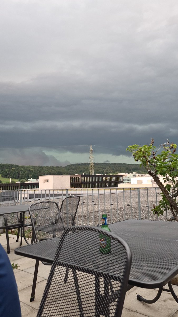 shurdriia's tweet image. Jooo 🥰
So hez z Dübi usgse....