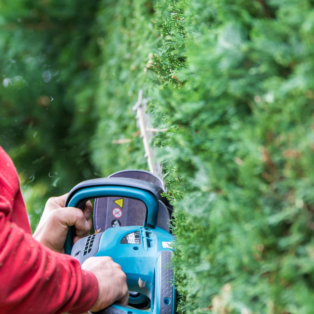 OneNeighborUSA's tweet photo. Trimmed hedges help top off your lawn's polished look! Did you know that OneNeighbor can do that too? Book your hedge trimming in the app for that oh-so-clean curb appeal. 

#hedgetrimming #curbappeal #pruning #gardening #hedges #gardens #hedging #trimming #hedgepruning https://t.co/vpY4T3Ifzh