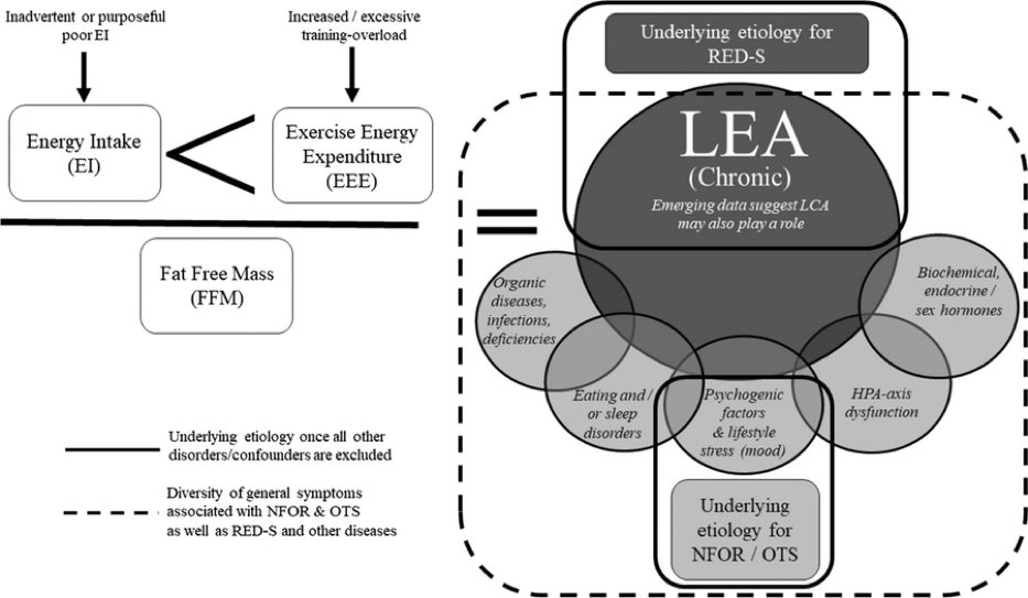margo mountjoy (@margomountjoy) on Twitter photo Is it #REDS? Or is it overtraining syndrome. Delighted to be part of the writing time on this interesting physiological review of #REDS vs #OTS with <a href="/TStellingwerff/">Trent Stellingwerff, PhD / CSEP-CEP / FACSM / ChPC</a> <a href="/IdaHeikura/">Ida Heikura</a> <a href="/LouiseMBurke/">Louise Burke</a> <a href="/RomainMeeusen/">Romain Meeusen</a> Is it #REDS? Or is it overtraining syndrome. Delighted to be part of the writing time on this interesting physiological review of #REDS vs #OTS with <a href="/TStellingwerff/">Trent Stellingwerff, PhD / CSEP-CEP / FACSM / ChPC</a> <a href="/IdaHeikura/">Ida Heikura</a> <a href="/LouiseMBurke/">Louise Burke</a> <a href="/RomainMeeusen/">Romain Meeusen</a>