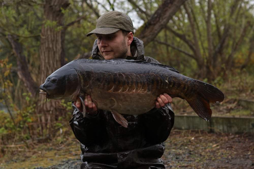 Will Caught the black mirror from an undisclosed Essex venue using Chod Rigs with Cell Hookbaits fished over half a kilo of Cell Boilies. 🎣😀
#Mainlinebait #carpfishing #carpy #fishing #uk #cell