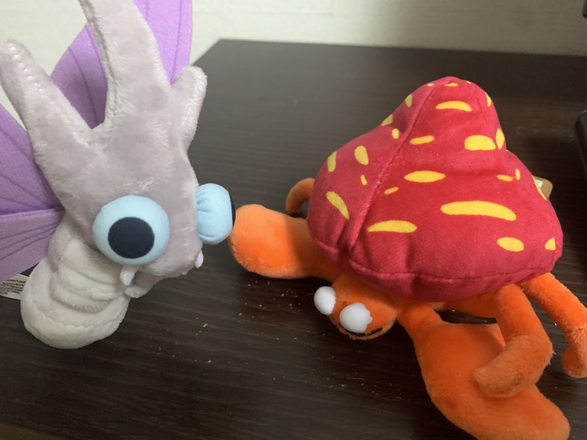 Lattice ラティス 虫タイプ好きな人に 好きなポケモンのタイプ何 って聞かれてゴーストって答えたら 分かった ゴーストタイプのぬいぐるみ送るわ って言われたんだけど 後日これ届いて ってなってる T Co Xh5nlevrrc Twitter