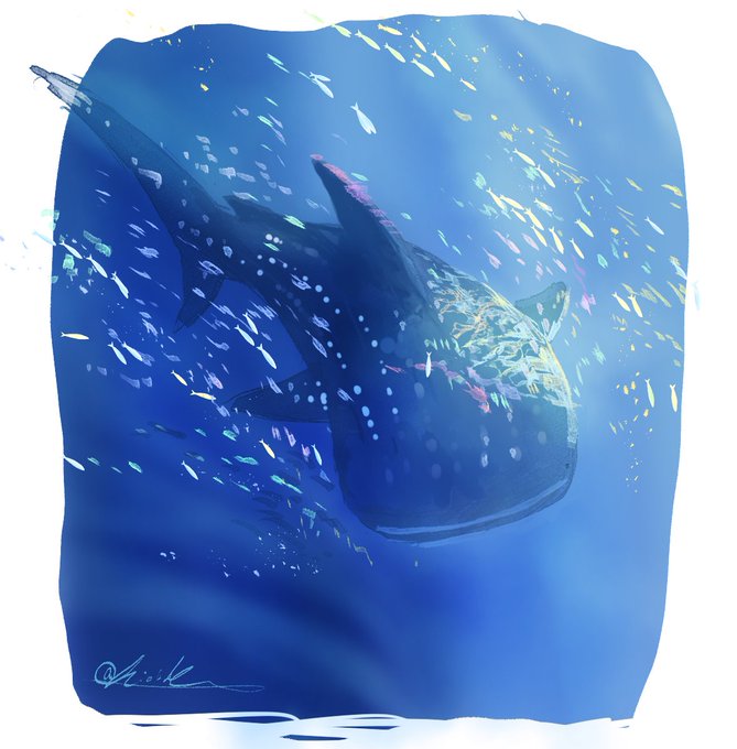 「鮫」のTwitter画像/イラスト(新着｜RT&Fav:50)｜20ページ目