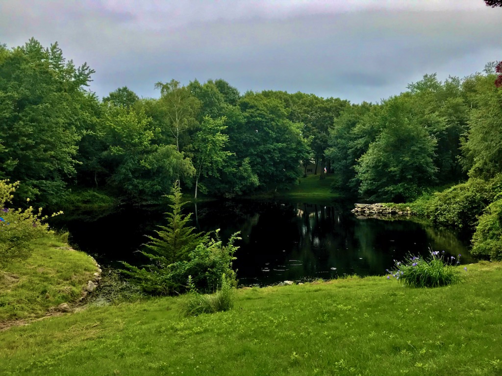 Before and after of an effective lily pad treatment. 

#lilypads #lilypadpond #saunderstown #saunderstownri #beforeandafter #landscapecapture #pondtreatment #washingtoncounty #washingtoncountyri #pondscape