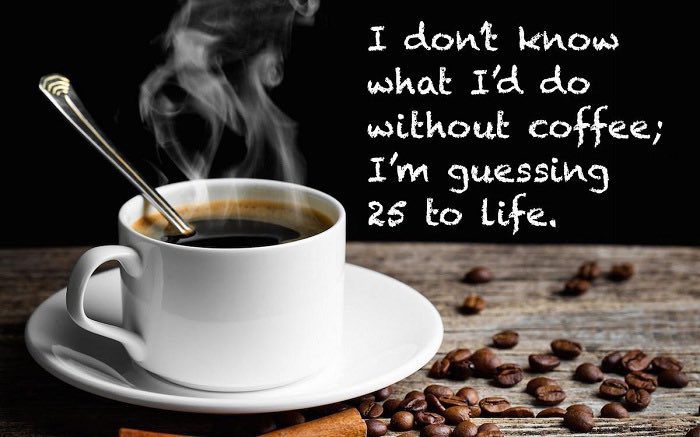 TerryCoder1's tweet image. #LifeofaCoder #HealthcareConsultant