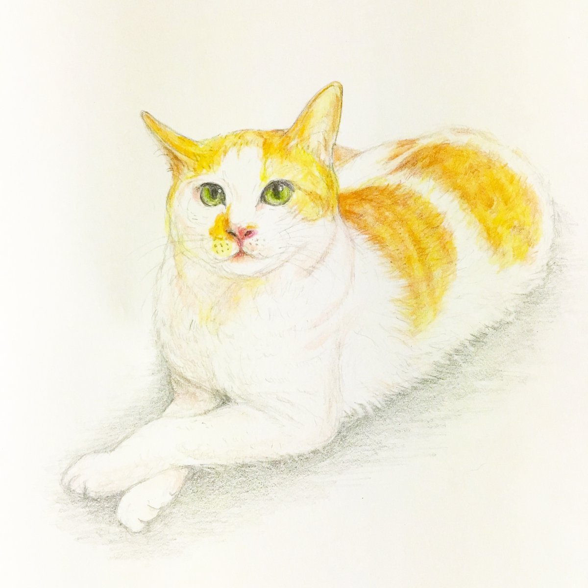 ゆうぴ こちらは以前描いた妹の猫の絵です 前はなかなか懐かなかったのですが 最近は猫の方からすり寄ってくるようになり 猫が大好きなので嬉しいです 絵 Art 絵画 ドローイング デッサン 素描 鉛筆デッサン 鉛筆画 写実画 アート 色鉛筆 ゆうぴ こちらは以前描いた妹の猫の絵です 前はなかなか懐かなかったのですが 最近は猫の方からすり寄ってくるようになり 猫が大好きなので嬉しいです 絵 Art 絵画 ドローイング デッサン 素描 鉛筆デッサン 鉛筆画 写実画 アート 色鉛筆