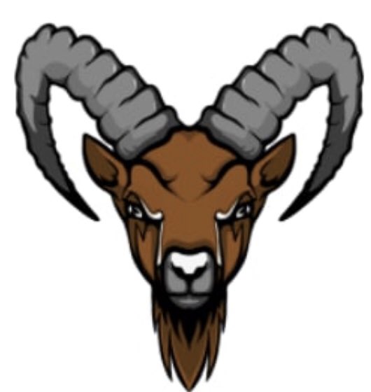 IBEX tweet media