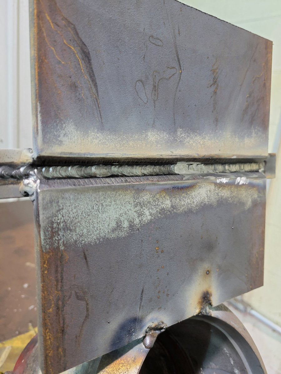 shannon cook🇺🇸 tweet media