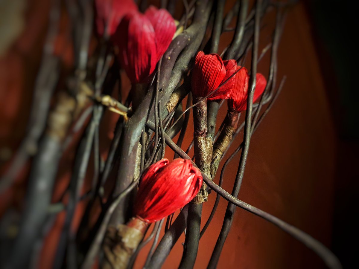 나는 가볍기도 하고 무겁기도 한 그런농담이 좋고 기분이 상했다가 풀렸다가하는 변덕스런 관계가 좋다
더하면 더했지 빼지않는게좋고 앞으로 장담할수는없지만 확실한오늘 지금을 나누는게좋다 내일도 모레도 빼지 않는관계라면 더좋을것이고 기어코 운명이라는 존재를 믿을것이다