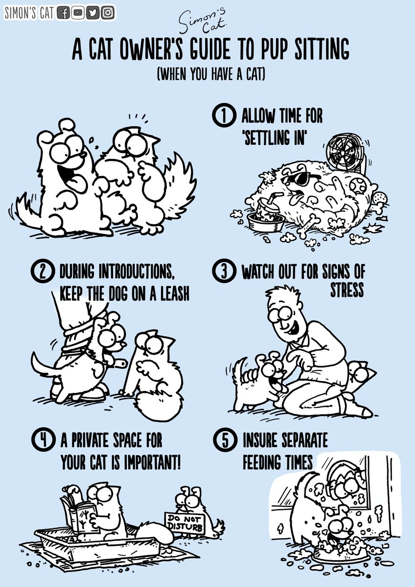 SimonsCat's tweet image. Pupsitting IRL? Introducing our furry friends can be difficult, but following these handy tips will keep the purrfect balance! 😺🐶Hounded (Pupsitting Part 2) is live meow: bit.ly/schounded