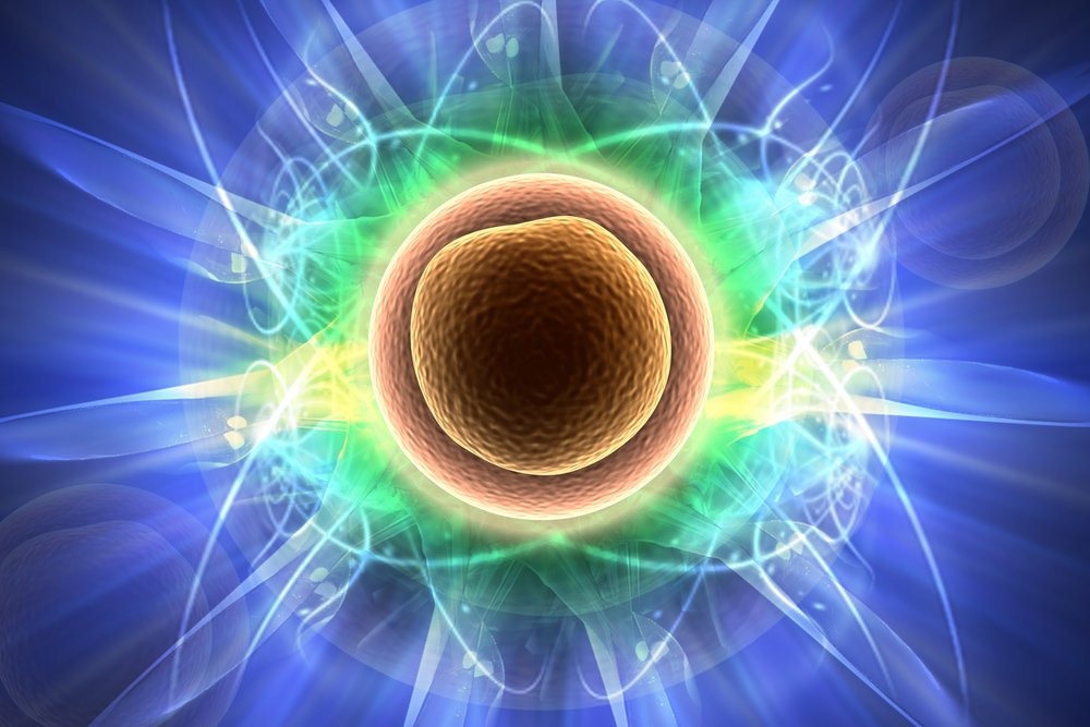 The genetic expression within any given cell at any given time is not “fixed,” as many people think it is. It is not a static thing. Rather, it is continually adapting to both external and internal stimuli.