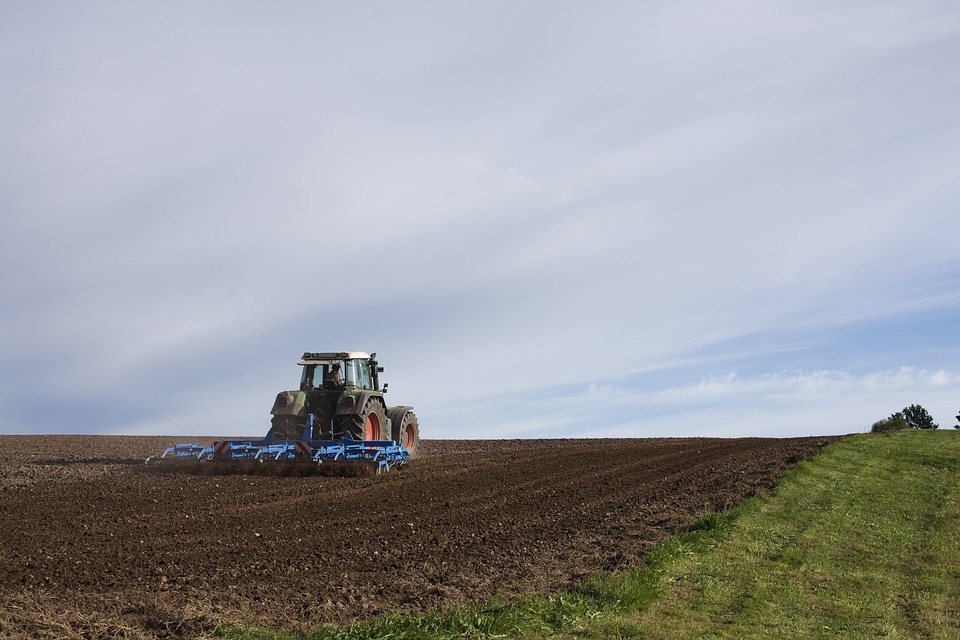 🗣️El intervencionismo en el #agro ha sido una política recurrente por parte de los #Estados. Si quieres saber sobre el caso #argentino, visita <a href="/RevistaRivar/">RIVAR</a> #22 @EmmaCicirelloo <a href="/UNQoficial/">Universidad Nacional de Quilmes</a>

👉 bit.ly/3wXXfDh 

📷 <a href="/pixabay/">Pixabay</a>