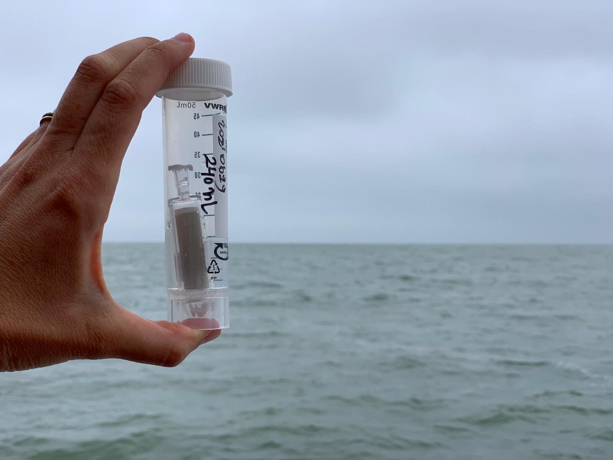 LifeWatchVLIZ's tweet image. Today @LifeWatchVLIZ scientists collect seawater samples on board the #SimonStevin in the framework of #OceanSamplingDay . We are 1 of the &amp;gt;200 worldwide registered sites that contribute to FAIR genomic data.
 
@EMBRC_EU @ASSEMBLE_Plus  @hcmr_gr @LifeWatchERIC @jmeesvliz