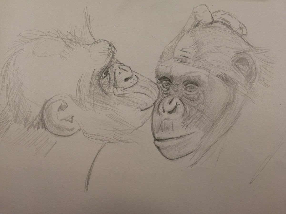 Ludmila Reimer tweet media