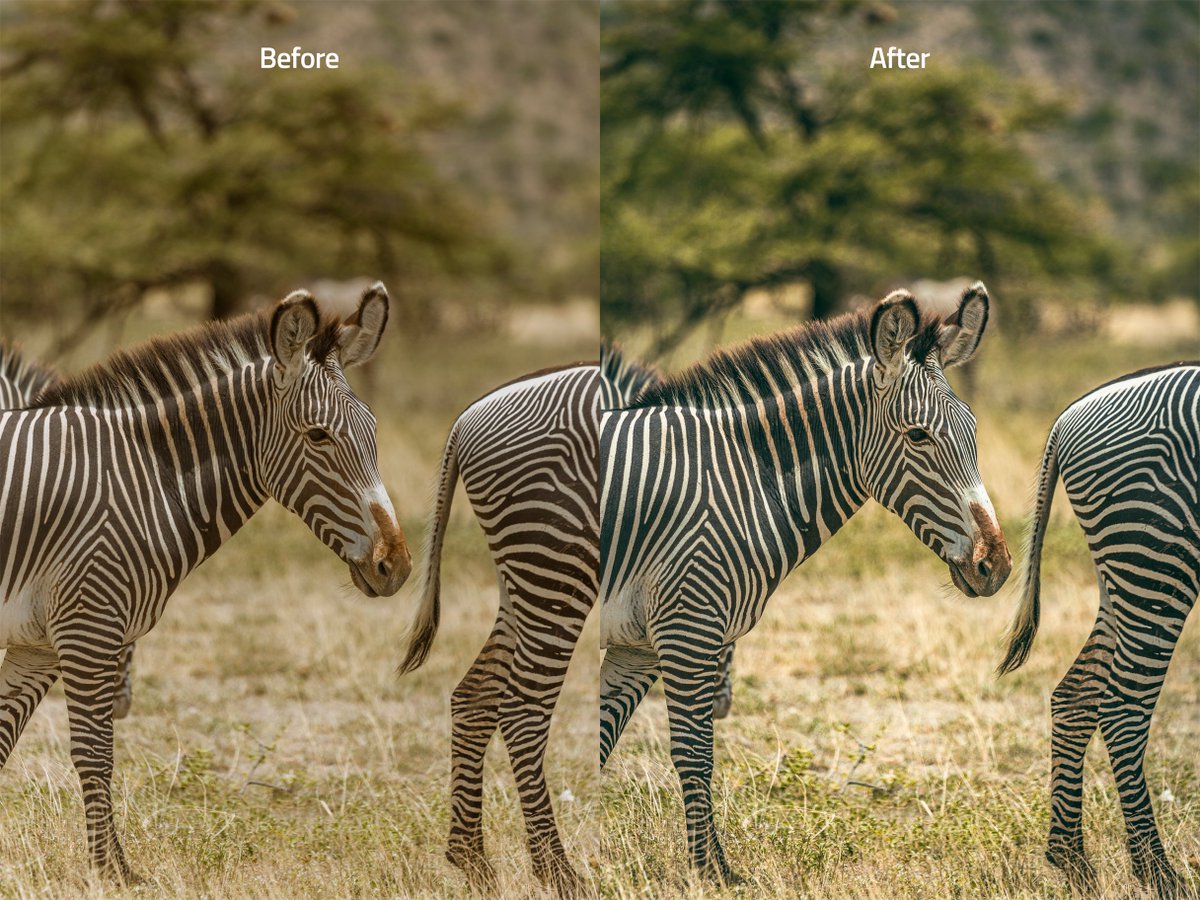 Hoy de la mano de <a href="/AdobeLat/">Adobe Latinoamerica</a>  quiero compartirles el resultado que podrían lograr utilizando el programa de edición Lightroom Mobile. A continuación les dejo un vídeo en cámara rápida de como lograr esta increíble edición que cambia totalmente nuestra imágen original.