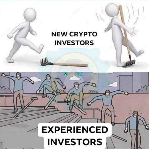 Nothing much to say. We will just casually leave this picture here. 😇 #crypto #investing #bitcoin