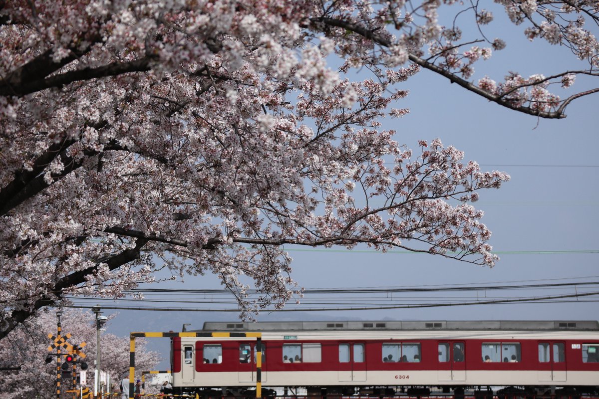 河川敷から見える桜と電車

Canon EOSM100

#サンディスクおうち時間フォトコン一般