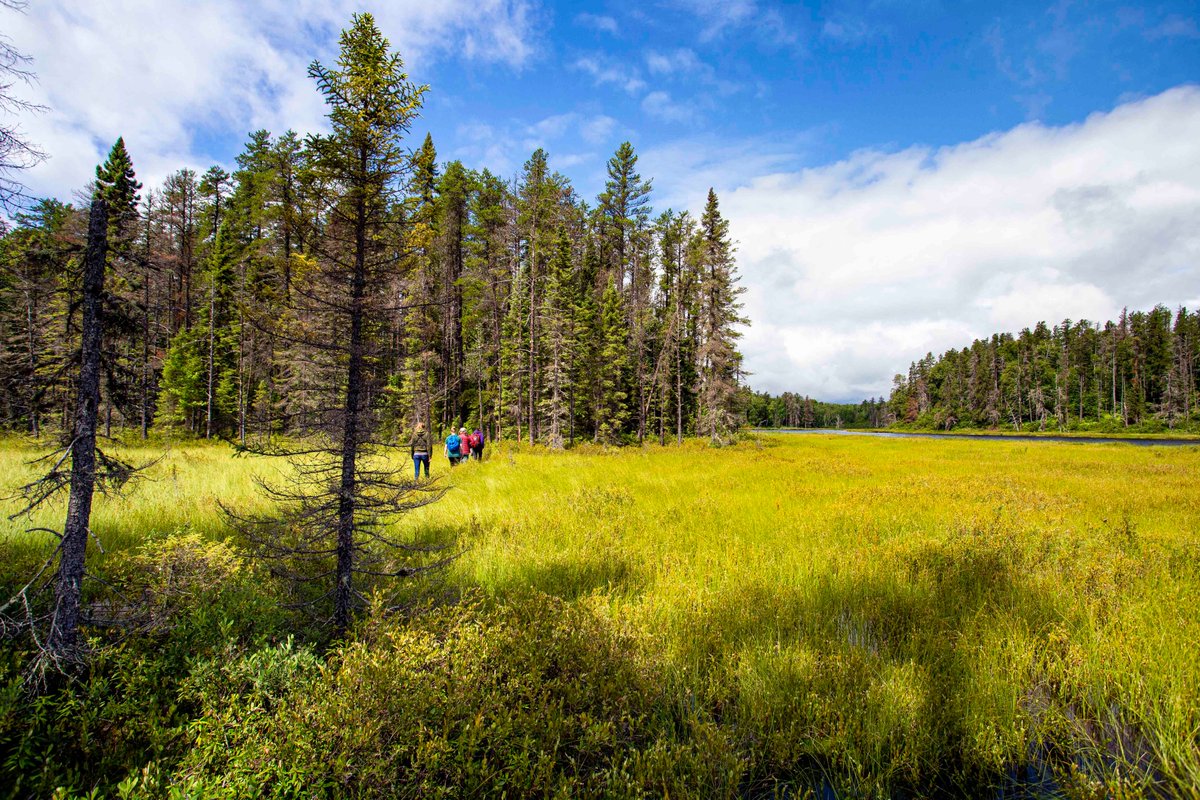 Ontario Parks NE tweet media